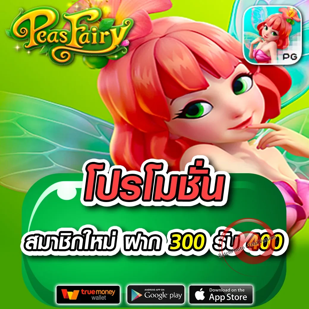 playplus888 เข้าสู่ระบบ